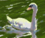 Lesson 9: Swan - Art Academy