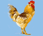 Rooster - Art Academy