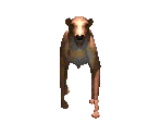 Dog - Birthright: The Gorgon's Alliance