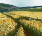 Barley Field - Art Academy: Lessons for Everyone!