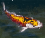 Koi Carp - Art Academy: Lessons for Everyone!