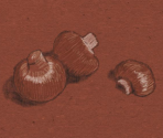 Mushrooms - Art Academy: Lessons for Everyone!