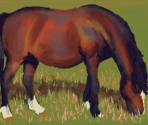 Horse - Art Academy: Lessons for Everyone!