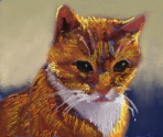 Cat - Art Academy: Lessons for Everyone!