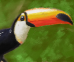 Toucan - Art Academy: Lessons for Everyone!