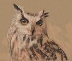 Owl - Art Academy: Lessons for Everyone!