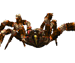 Spider - Birthright: The Gorgon's Alliance