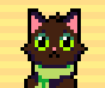 Black Cat - Cat Jump