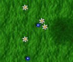 Course Layouts 1-4 - Sonic R
