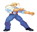 Tiger - Martial Masters