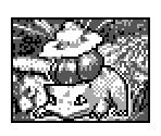 Card Set (DMG) - Pokémon Trading Card Game