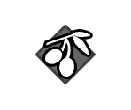 Common Icons - Octopath Traveler II