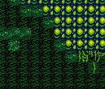 Round 4-1 - Alex Kidd in Shinobi World