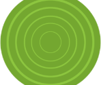 Vault