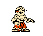 Geese - Fatal Fury: First Contact
