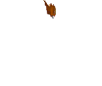Bat - LameDuke (Prototype)
