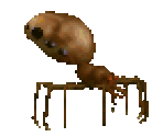 Spider - Dungeon Keeper: Gold Edition