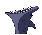 Shark - Crazy Drake