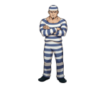 Prisoner (The Captive Turnabout) - Ace Attorney Investigations Collection