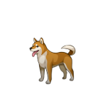 Missile the Dog - Ace Attorney Investigations Collection