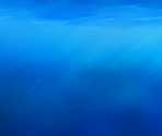 Find Froggy - Sonic Speed Simulator (Roblox)