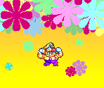 Clear Screen - Wario Land 4