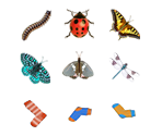 Collectables (Small) - Virtual Families