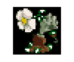 DS Menu Icon - Plants vs. Zombies