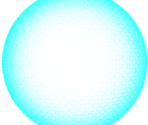 Shield and Health - Section 8