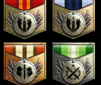 Ranks, Feats, and Badges - Section 8