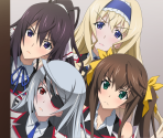 Common - Infinite Stratos 2: Ignition Hearts