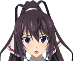 Houki - Infinite Stratos 2: Ignition Hearts