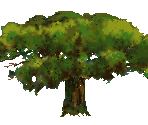 Trees - Conquests of the Longbow: The Legend of Robin Hood