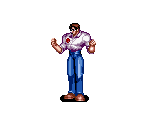 Dieter - Brawl Brothers / Rushing Beat Ran