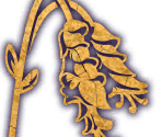 Collections (2/2) - Hogwarts Legacy