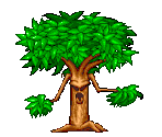 Spirit Of The Wood - Shakii the Wolf