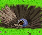 Raditz's Crater - Dragon Ball Z: The Legacy of Goku