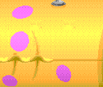 Stage 04: Wading Around - Cool Spot
