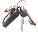 Commemorative Keychain (Sugar)