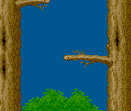 Dizzy Devil Boss Arena - Tiny Toon Adventures: Buster's Hidden Treasure