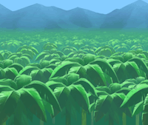 Stages - Super Monkey Ball: Tip 'n Tilt