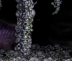 Stage 03 - Interiors - Castlevania: Harmony of Despair