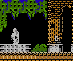 Stage 10 - Castlevania: Harmony of Despair