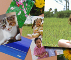 Product Icons - Digicam Print Channel