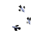 Birds - Pharaoh + Cleopatra