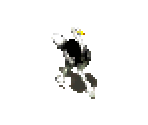 Ostrich - Pharaoh + Cleopatra
