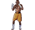 Sagat - Street Fighter: The Movie