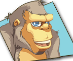 HUD - Toki