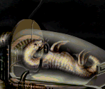 Behemoth Incubator - Dark Seed II