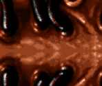 2: The Biomasse: Stage 2 - Tubular Worlds